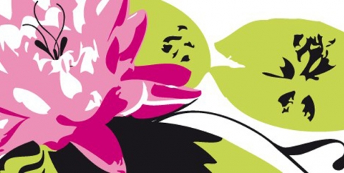 Communic'Art developped a GLOBAL STRATEGY FOR ALALMA AND MYTH & OPERA