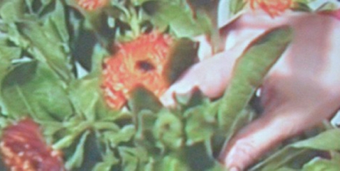 VANISHED group show, opening Thursday 16 may at galerie Christophe Gaillard