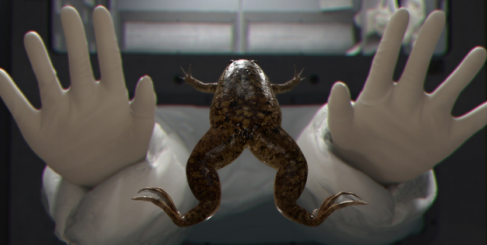 ART OF CHANGE 21 expose 14 artistes AU CONGRÈS MONDIAL de la NATURE DE L’UICN, à Marseille, DU 4 au 11 SEPT. 2021