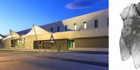 ‘Sacré Mâle’ at MUSÉAL, the revelation of a rare imperial bust discovered in 1992